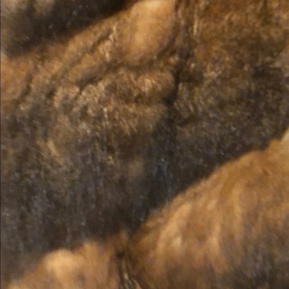 Vintage Possum Fur Chubbie - Picture 5 of 6